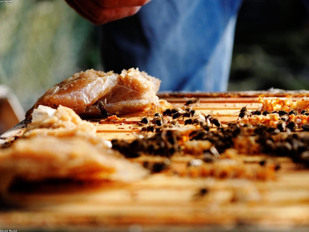 មកពីអ្នកជំនាញ: វិស័យនឹងការអភិវឌ្ឍន៍