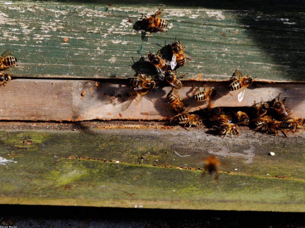 ការបង្កើតការសិក្សា និងចំនេះដឹងថ្មី